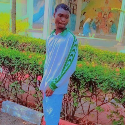 BullionJnr1's profile picture. 