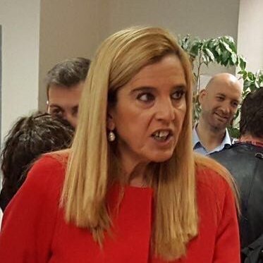 Excelentísima alcaldesa imputada de Collado Villalba. Es la alcaldesa la que quiere que sean los vecinos la alcaldesa. #VotaVERGAS 🍆