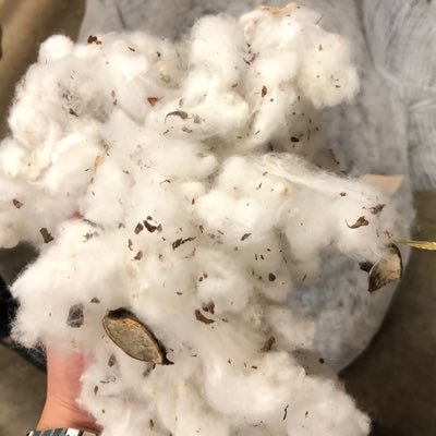 wtx cotton farmer