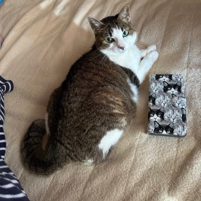 Miezoさんのプロフィール画像