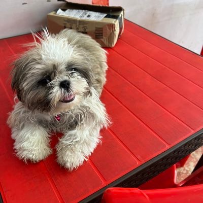 tamilazhagan_sa's profile picture. 