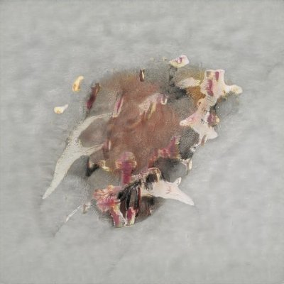 Michell88771771's profile picture. 
