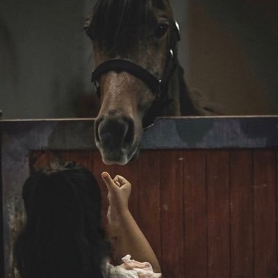 a_r_333's profile picture. سماءُ الله واسعه فـ اذهب بــ حلمِك أيْنما تُريد🍃