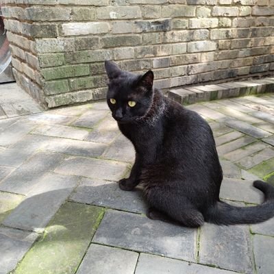 mokzhou123's profile picture. Try to do something valuable