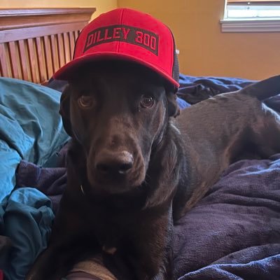 Woodsleatherco's profile picture. 