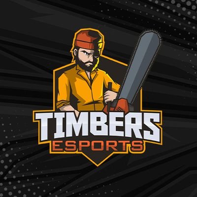 Timbers Esports Profile