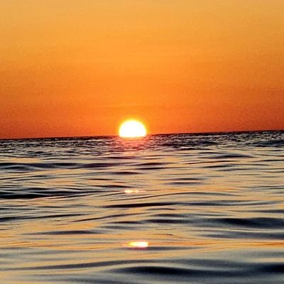 WagenerRon's profile picture. 