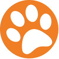Petkolik (@petkolik) 's Twitter Profile
