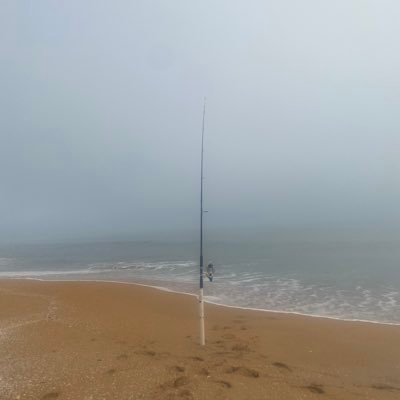 adv_primitive's profile picture. An outdoors blog dedicated to healthy living and sustainable food production.