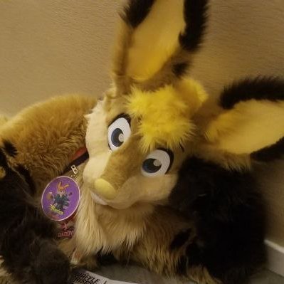 I dress up as a giant bunny for fun. | Fursuits: Syrup Bunny, Captain Killjoy, Navi | He/him | @ItsCharlesBunny is my husbando

Follow me: https://t.co/HfYiqTvknJ