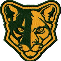 Carlynton Athletics (@carlyntonsports) Twitter profile photo