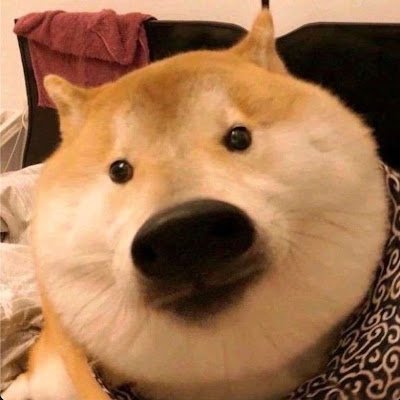 CaoTaibai's profile picture. 