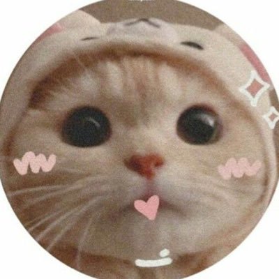 ❝be kind.❞ —  @winmetawin ☆ﾐ ia but still lurking here