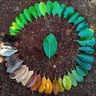 Nancy28500292's profile picture. MD in Clinical Medicine, PhD in Cancer Biology, Cancer Researcher,  Artist of the cellular world in human body.