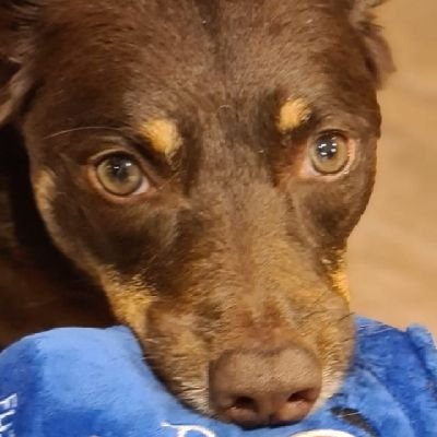 gnu66's profile picture. 