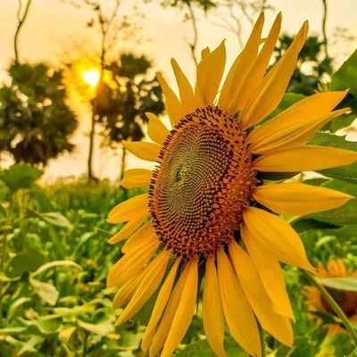 abdullah202324's profile picture. (🧙,🧙) gnoma🧙,⛺ 🧙