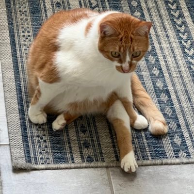 JazzyQuack's profile picture. 
