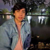 andres (@andresdlr) 's Twitter Profile