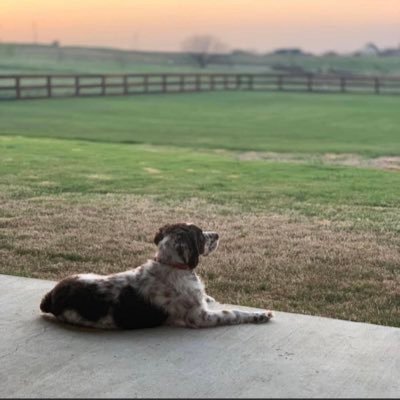 CBPokerr's profile picture. Poker Player