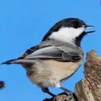 Decency, family, friends, nature. Understands int’l trade, anti-brexit smarty pants. U.K. / Canada. N95+ work. Anti Covid, pro clean air.