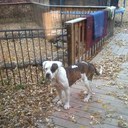 Edward Brantley Jr. - @ShydaiBadisBich - Twitter