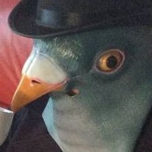 _trash_Pigeon's profile picture. ⁠ᘛ⁠⁐̤⁠ᕐ⁠ᐷ🤲😳