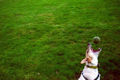 snacking's profile picture. 