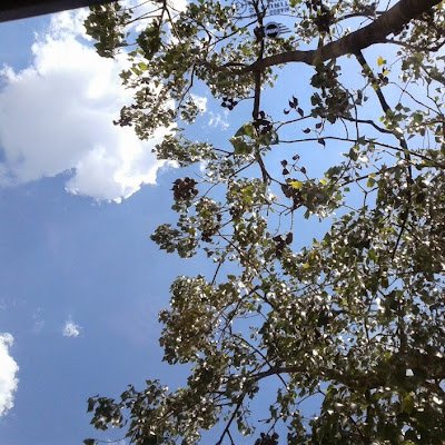 MfukuMbule27660's profile picture. 