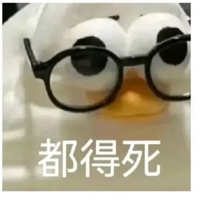 newnoise_niunao's profile picture. 