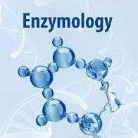 MolecularD56601's profile picture. Molecular Enzymology and Drug Targets journal aims is to publish the work of designing and synthesis of enzymes and high unmet medical need are based on innovat