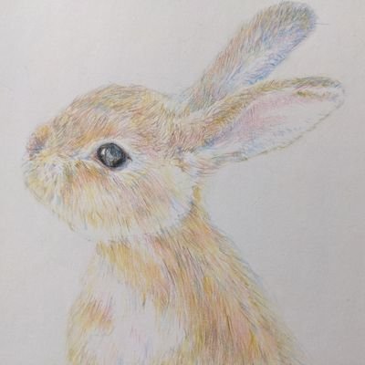 はるの（水彩画、デジタル画、色鉛筆画）さんのプロフィール画像