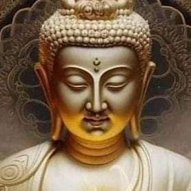 ZcLK2AfOtYqu09b's profile picture. Self employee