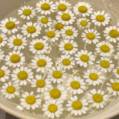 IrisQAQinn's profile picture. 🥰