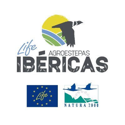 🦅 Trabajamos por el futuro y la conservación de las aves y los sistemas agroesteparios.
🍃 Proyecto de @SEO_BirdLife
#agroestepas
#lifeprogramme
#natura2000