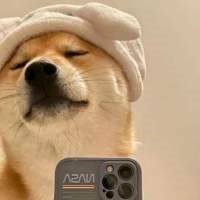 antCode1's profile picture. 正义联盟