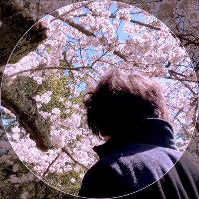 蝉に櫛さんのプロフィール画像