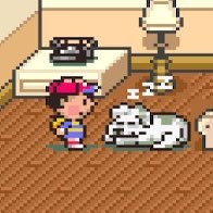 くまさんのプロフィール画像