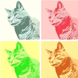 2_gr8_kids's profile picture. Mum; bookworm; rugby basketball & cycling fan; chocaholic; NCIS watcher; who loves to knit / crochet & surf Ravelry