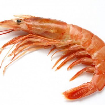 ebi_kun_01's profile picture. 