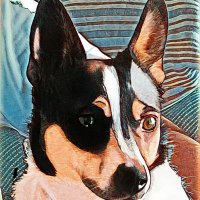 Avisil (@avisil7) 's Twitter Profile