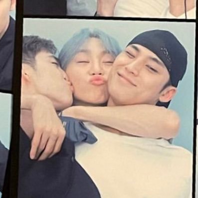 bts poly