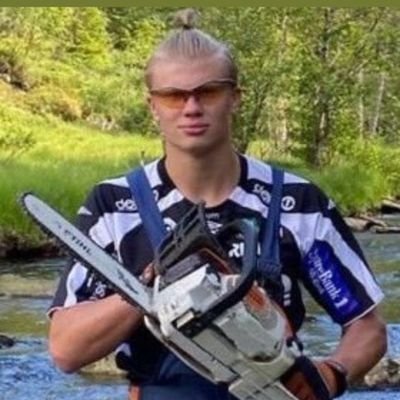 Jl11Nicolas's profile picture.