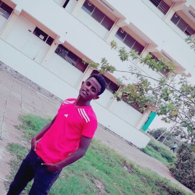 sibhat_yohannes's profile picture. software engineer @DanEnergyET