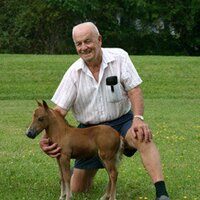 Ken M (@horseysurprise) 's Twitter Profile