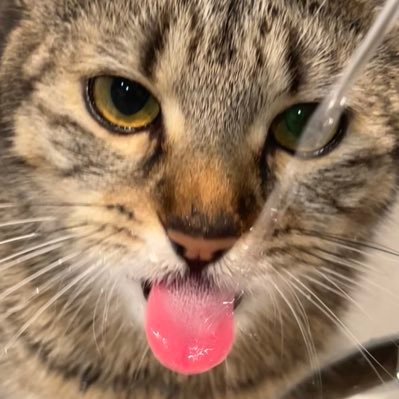 douaa_elhbi's profile picture. 