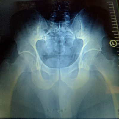 ralphfox78's profile picture. 