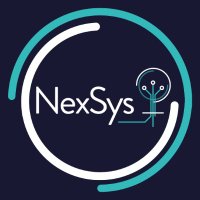 NexSys Solutions Limited(@NexSys_) 's Twitter Profile Photo