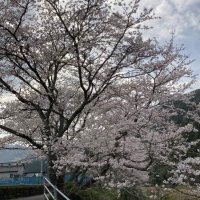 いったん (@hnyd6_i) 's Twitter Profile