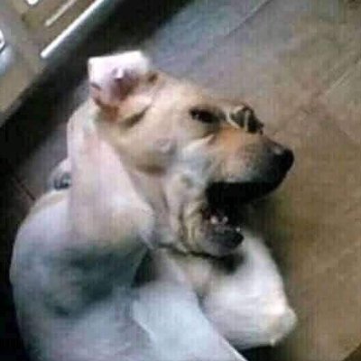 thanhlo26sl's profile picture. 