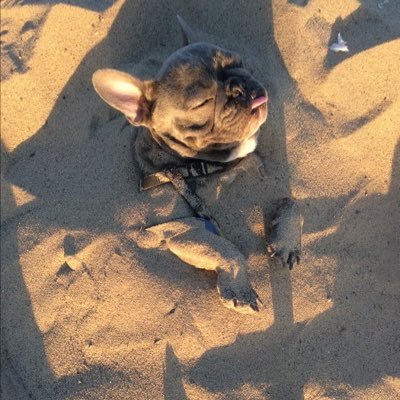 fuzete4's profile picture. sorry… but my head is elsewhere, if you find it call me📞